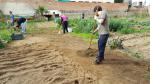 Preparant la terra per plantar.